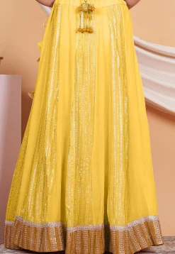 Embroidered Georgette Skirt in Yellow
