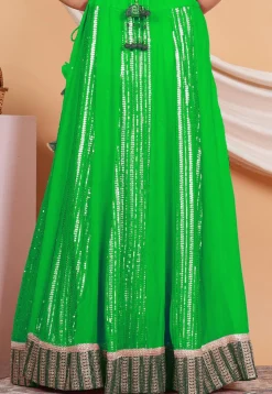 Embroidered Georgette Skirt in Green