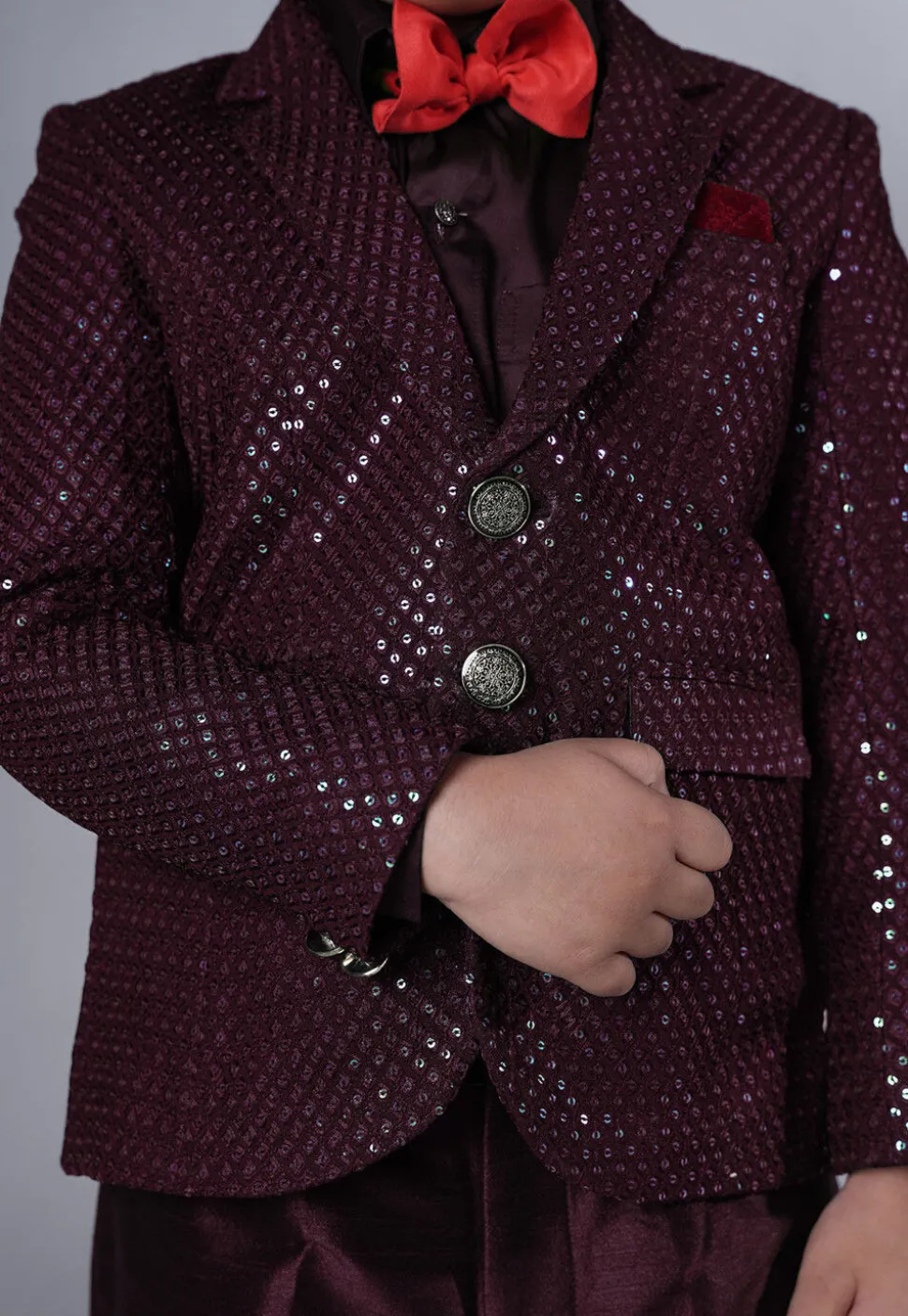 Embroidered Georgette Tuxedo in Wine