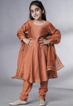 Embroidered Muslin Silk A Line Suit in Rust