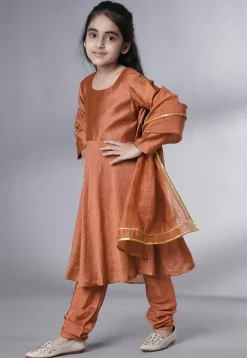 Embroidered Muslin Silk A Line Suit in Rust