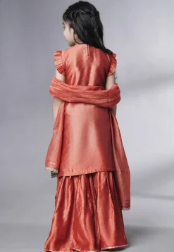 Embroidered Muslin Silk Pakistani Suit in Rust