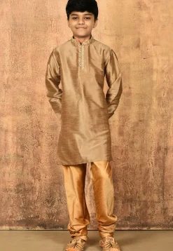 Embroidered Neckline Dupion Silk Kurta Set in Dark Beige