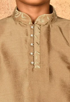 Embroidered Neckline Dupion Silk Kurta Set in Dark Beige