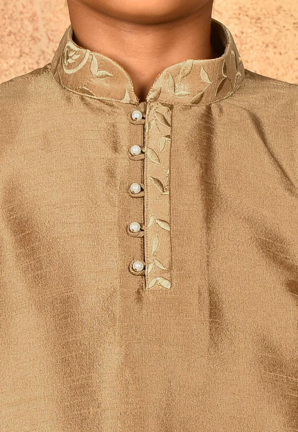 Embroidered Neckline Dupion Silk Kurta Set in Dark Beige