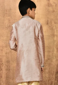 Embroidered Neckline Dupion Silk Kurta in Pastel Brown