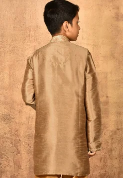 Embroidered Neckline Dupion Silk Kurta in Dark Beige