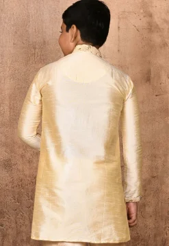 Embroidered Neckline Dupion Silk Kurta in Light Beige