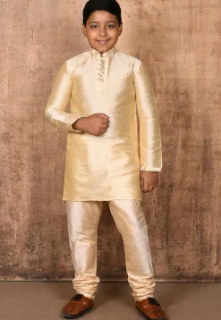Embroidered Neckline Dupion Silk Kurta in Light Beige