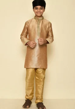 Embroidered Neckline Dupion Silk Kurta Set in Dark Beige