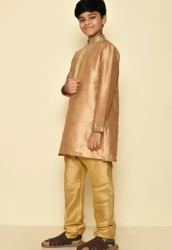 Embroidered Neckline Dupion Silk Kurta Set in Dark Beige