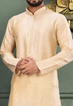 Embroidered Neckline Dupion Silk Kurta Set in Light Beige