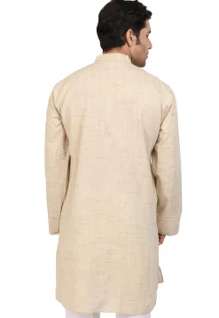 Embroidered Neckline Handloom South Cotton Kurta in Beige