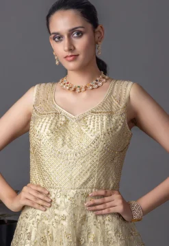 Embroidered Net Abaya Style Suit in Beige
