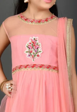 Embroidered Net Anarkali Suit in Pink