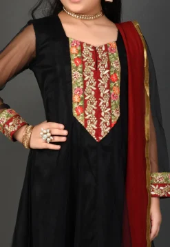 Embroidered Net Anarkali Suit in Black