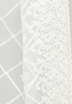 Embroidered Net Dupatta in Off White