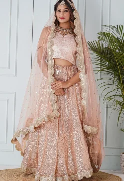 Embroidered Net Dupatta in Peach