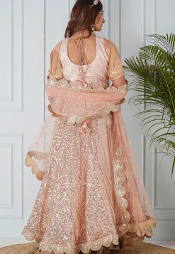 Embroidered Net Dupatta in Peach