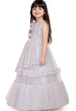 Embroidered Net Gown in Grey