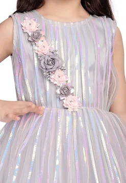 Embroidered Net Gown in Grey