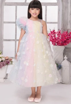 Embroidered Net Gown in Multicolor