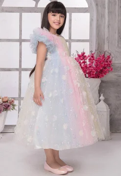 Embroidered Net Gown in Multicolor