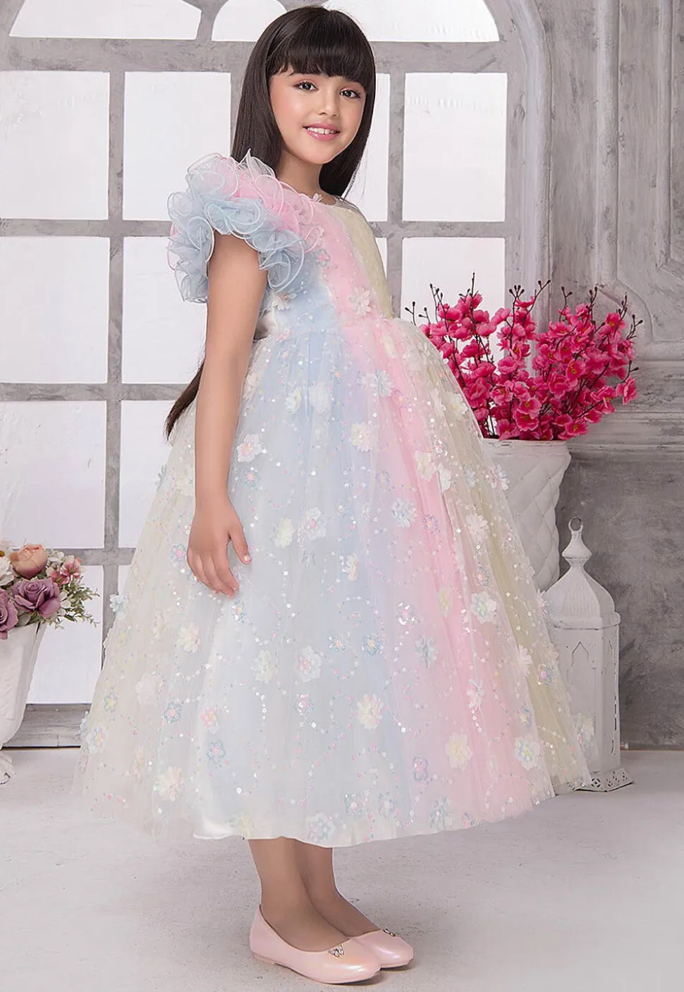 Embroidered Net Gown in Multicolor