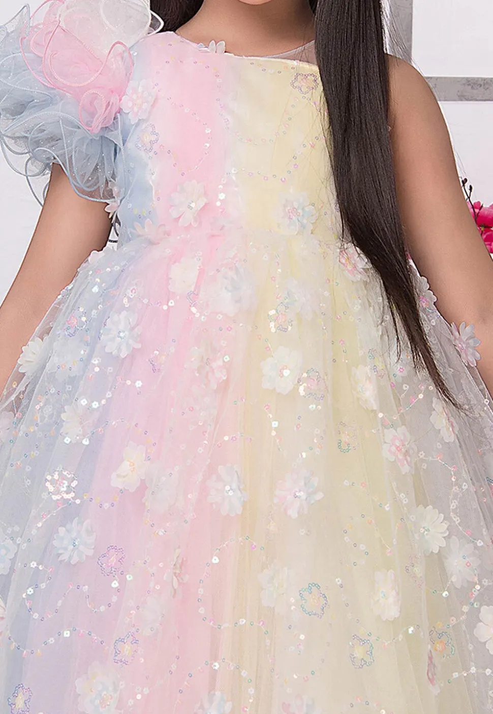 Embroidered Net Gown in Multicolor