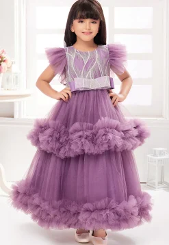 Embroidered Net Gown in Purple
