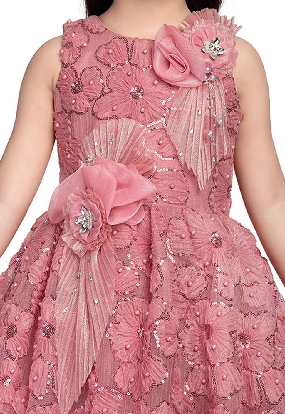 Embroidered Net Gown in Peach