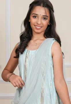 Embroidered Net Gown with Attached Dupatta in Pastel Blue