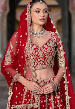 Embroidered Net Lehenga in Red