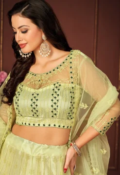 Embroidered Net Lehenga in Light Green