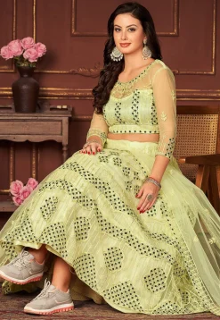 Embroidered Net Lehenga in Light Green