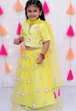 Embroidered Net Lehenga in Yellow