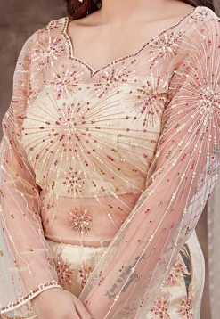 Embroidered Net Lehenga in Cream