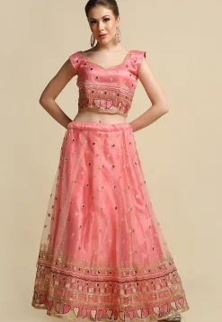 Embroidered Net Lehenga in Peach
