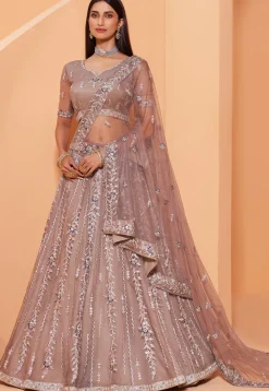 Embroidered Net Lehenga in Fawn