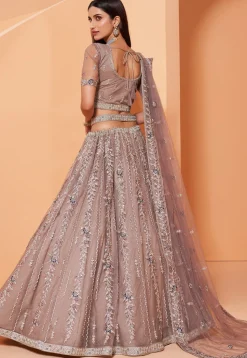Embroidered Net Lehenga in Fawn