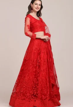 Embroidered Net Lehenga in Red