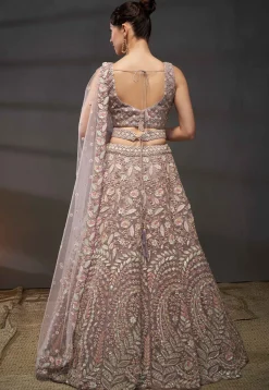 Embroidered Net Lehenga in Peach