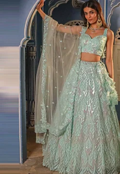 Embroidered Net Lehenga in Pastel Blue
