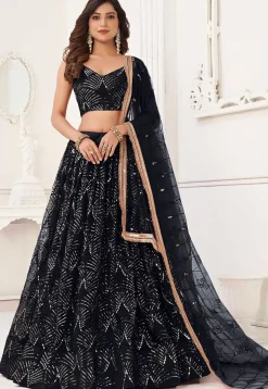 Embroidered Net Lehenga in Black