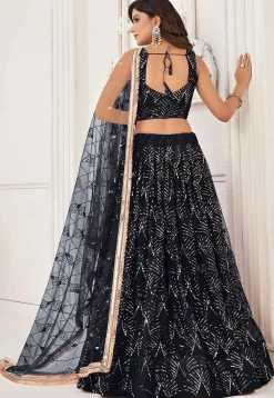 Embroidered Net Lehenga in Black