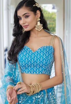 Embroidered Net Lehenga in Sky Blue