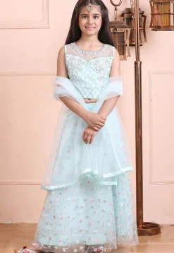 Embroidered Net Lehenga in Light Blue