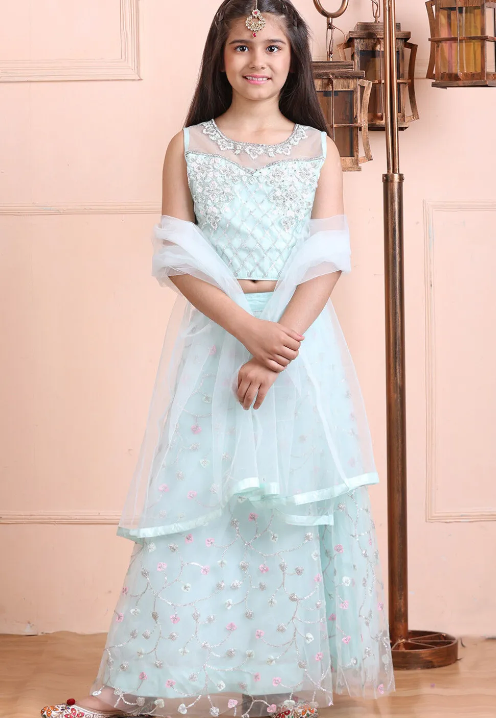 Embroidered Net Lehenga in Light Blue