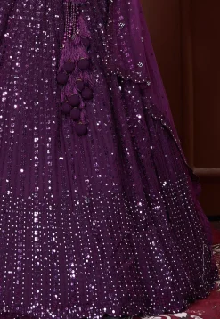 Embroidered Net Lehenga in Dark Purple