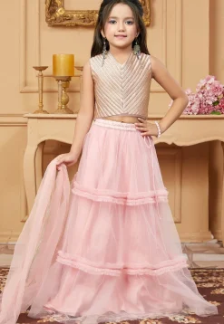 Embroidered Net Lehenga in Pink